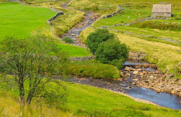 Cost of Swale Repair in State College